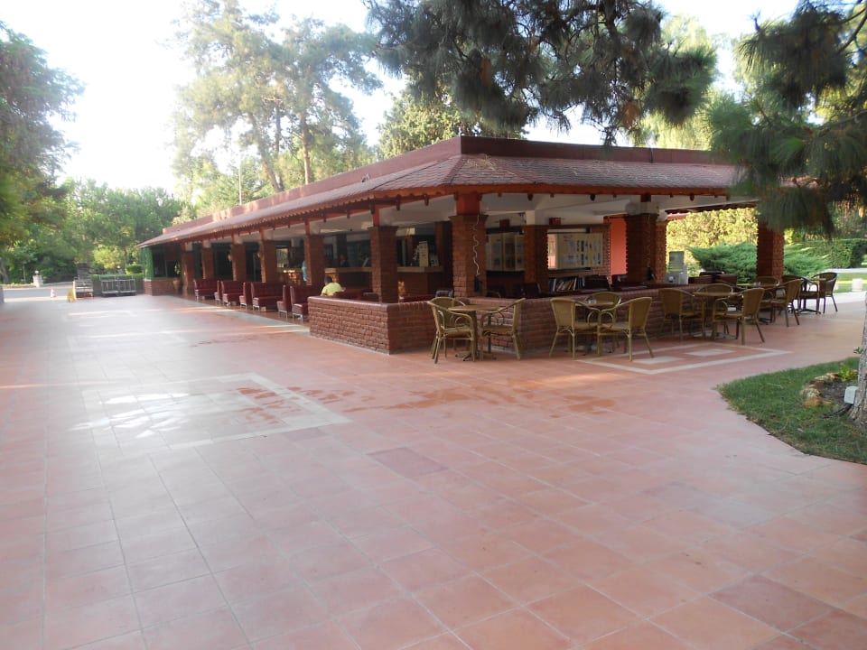 Aussergwöhnliche Rezeption im Freien  Kustur Club Holiday Village