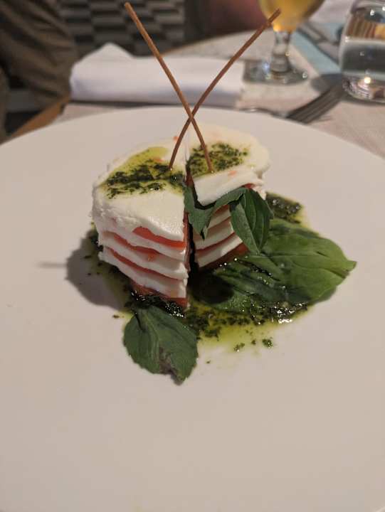 Gastro JAZ Elite Asteria