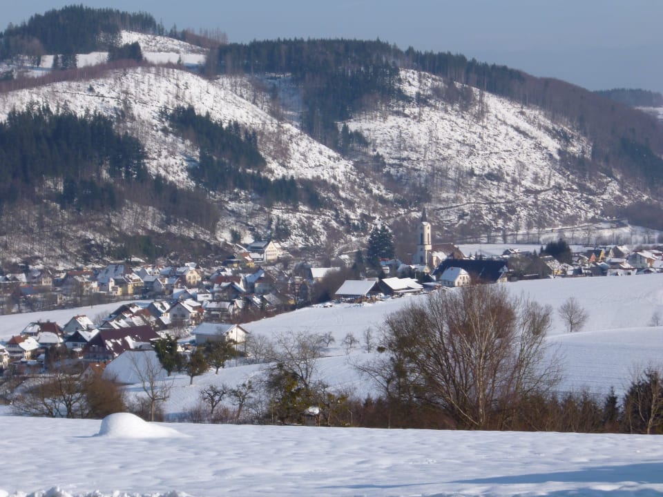 Aussicht vom Hotel ins Tal Elztalhotel