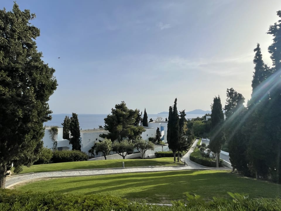 Ausblick  ROBINSON DAIDALOS