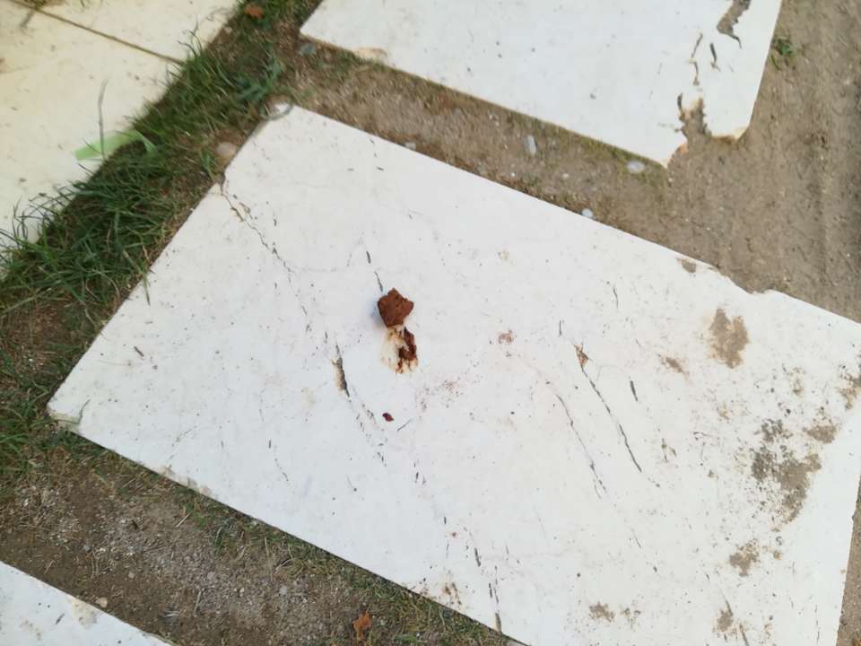 Sonstiges Selectum Family Comfort Side