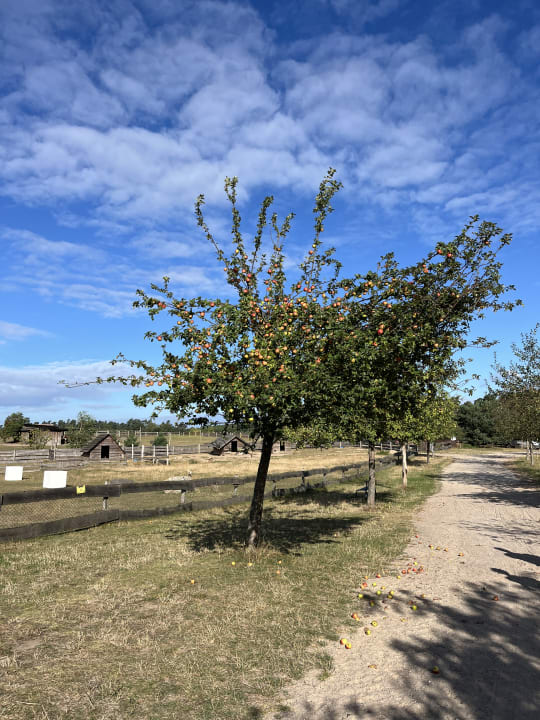 Gartenanlage Van der Valk Resort Linstow