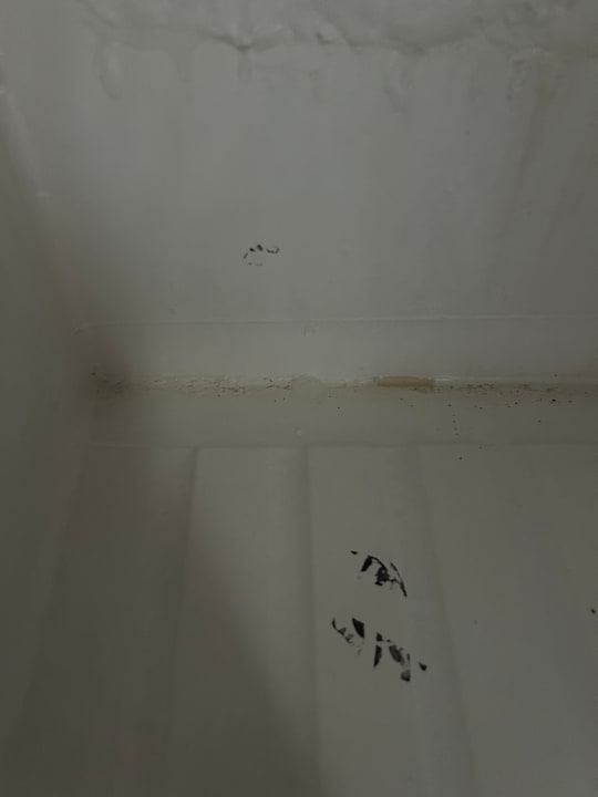 Zimmer AQI Pegasos World