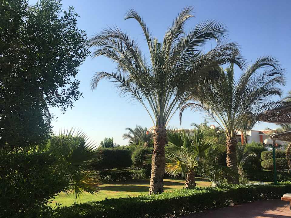 Gartenanlage Fantazia Resort Marsa Alam