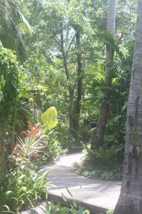 Weg zu den Villen Anantara Rasananda Koh Phangan -  Villas