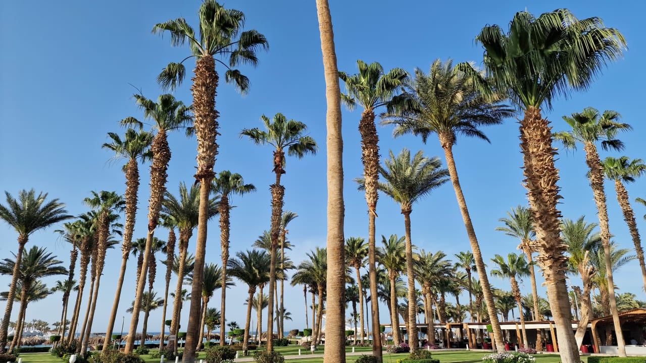 Gartenanlage Meraki Resort (Adults Only)