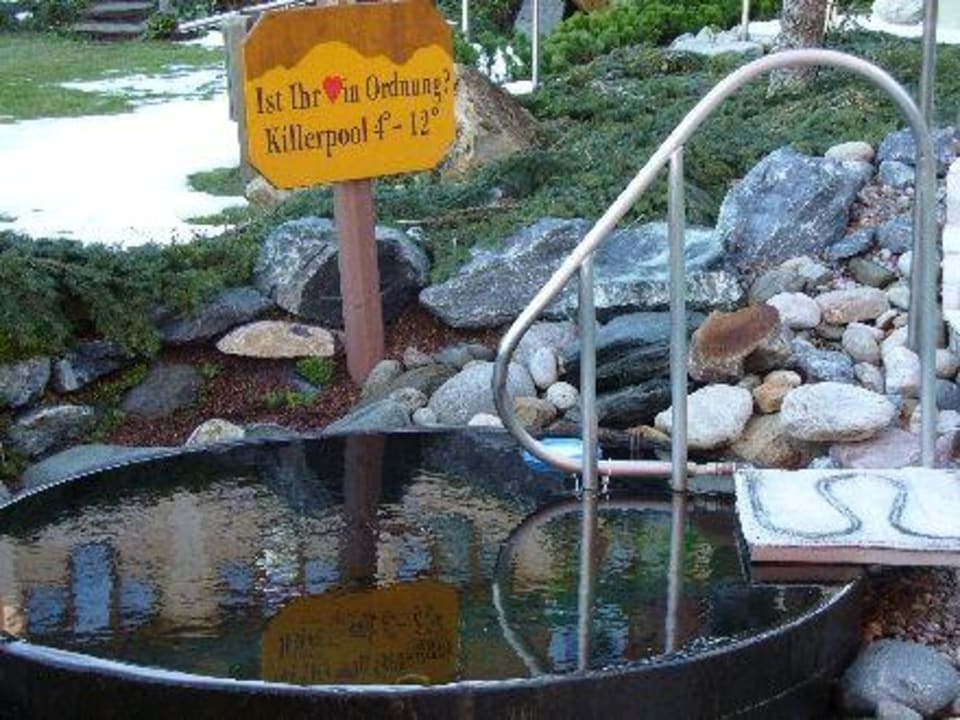 Kaltwasserbecken Hotel Hochschober