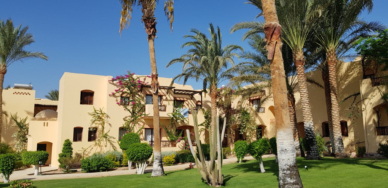 Gartenanlage Steigenberger Coraya Beach - Adults only