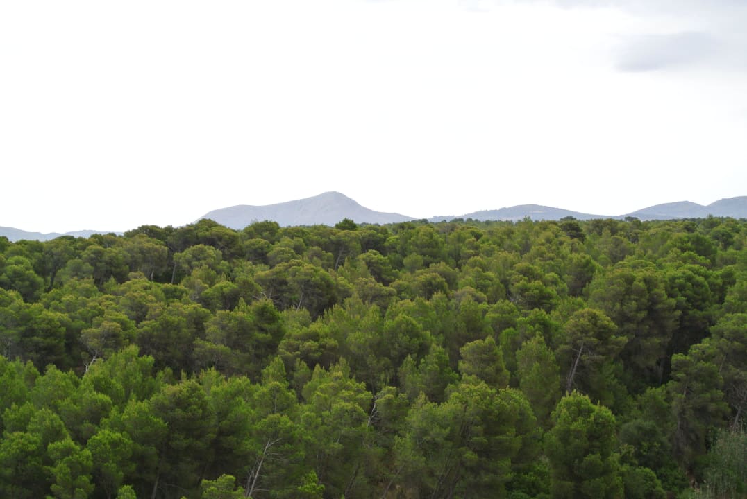 Blick ins Grüne  Hotel Exagon Park