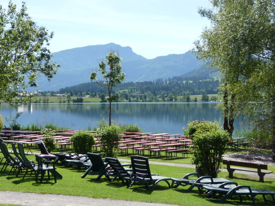 Gartenanlage Hotel Bellevue am See