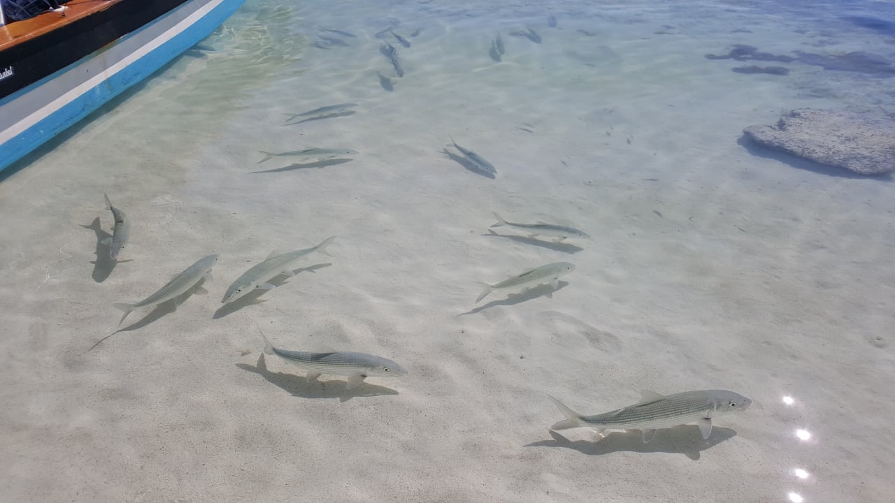 Strand Akumal Bay Beach & Wellness Resort