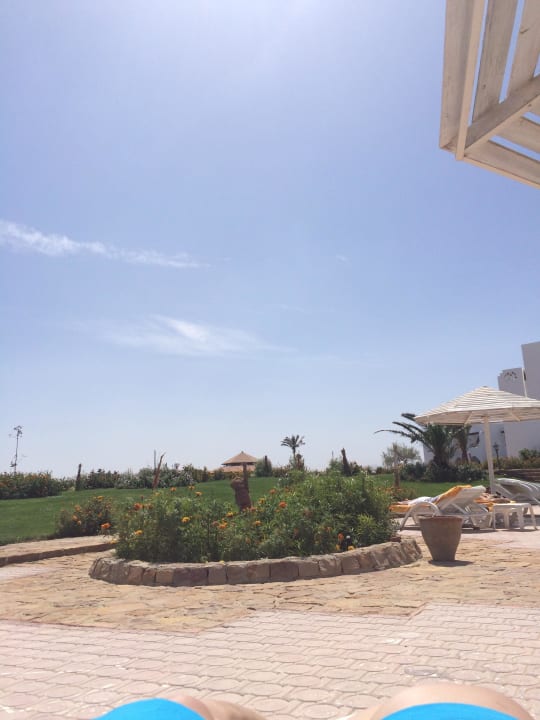 Aussicht am Pool  Three Corners Equinox Beach Resort