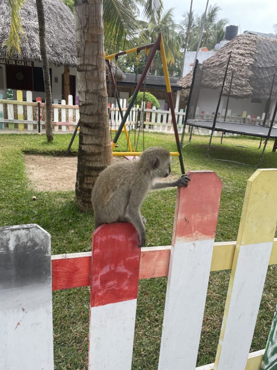 Gartenanlage Travellers Beach Hotel & Club