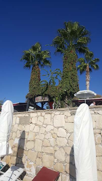 Ausblick Side Altinkum Hotel