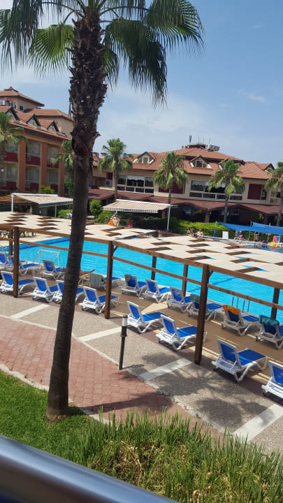 Pool Hotel Orfeus Park