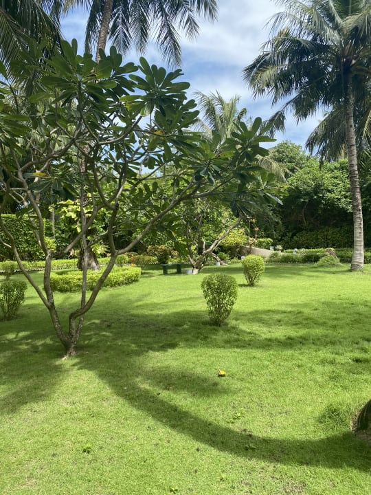 Gartenanlage Adaaran Select Meedhupparu Island Resort - Premium All Inclusive