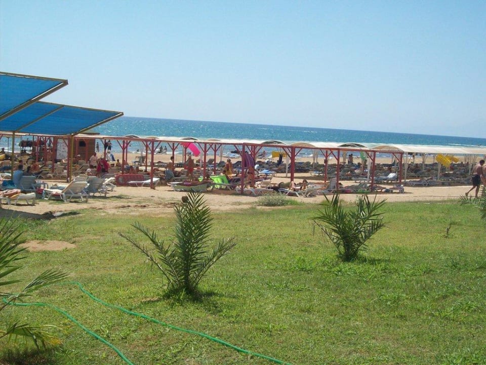 Ausblick von Strandbar zum Strand Hotel Orfeus Park