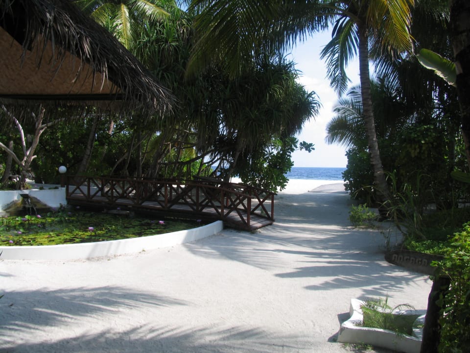 Immer schön sauber Angaga Island Resort