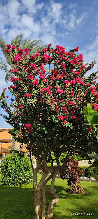 Gartenanlage Sentido Caribbean World Soma Bay