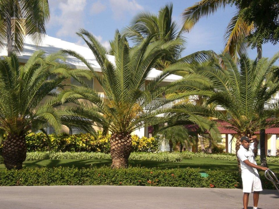 Unterkünfte Bavaro Grand Palladium Select Bávaro Resort & Spa