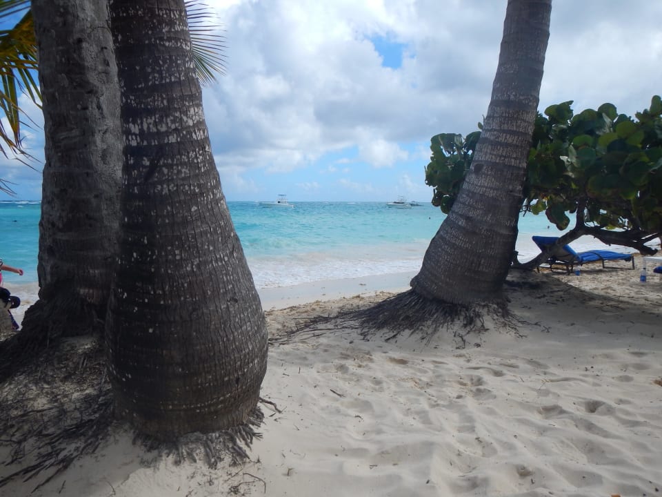 Traumstrand TRS Turquesa Hotel - Adults only