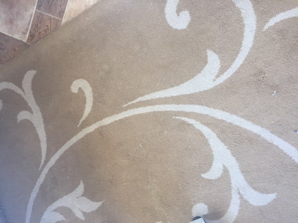 Zimmer Pickalbatros Citadel Resort