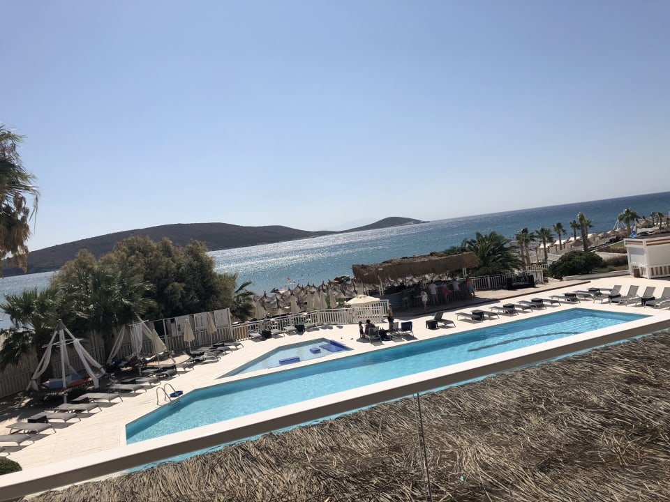 Pool Design Plus Seya Beach Hotel