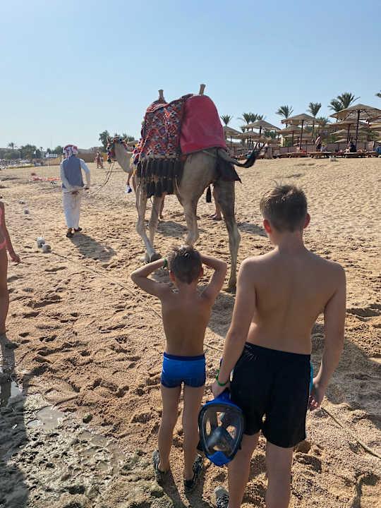 Strand Grand Waterworld Makadi