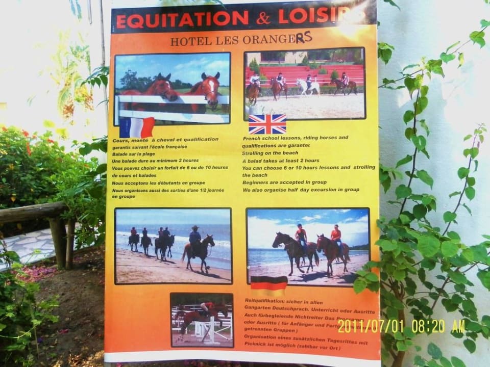 Reiterinfo The Orangers Beach Resort and Bungalows