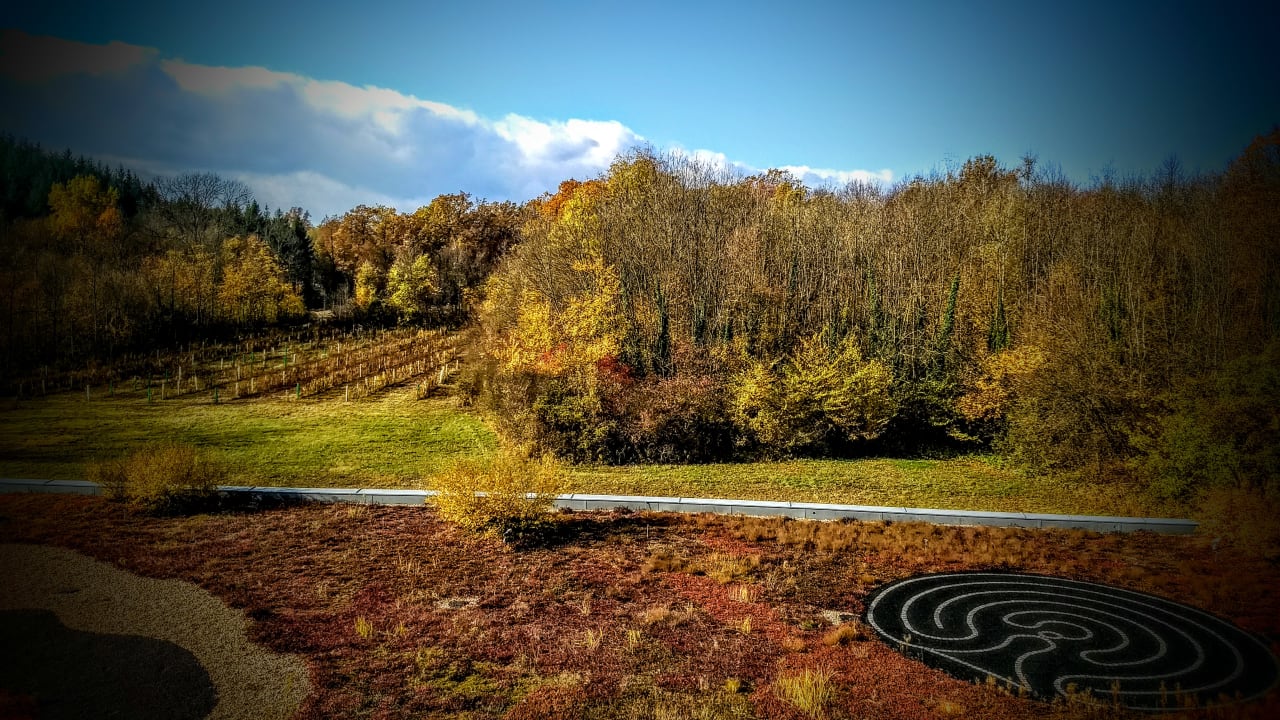 Ausblick Linsberg Asia Hotel & Spa