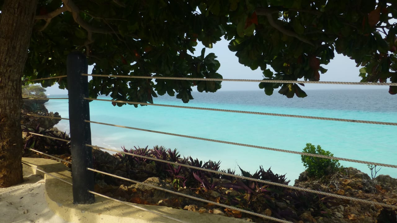Ausblick auf das Meer Royal Zanzibar Beach Resort