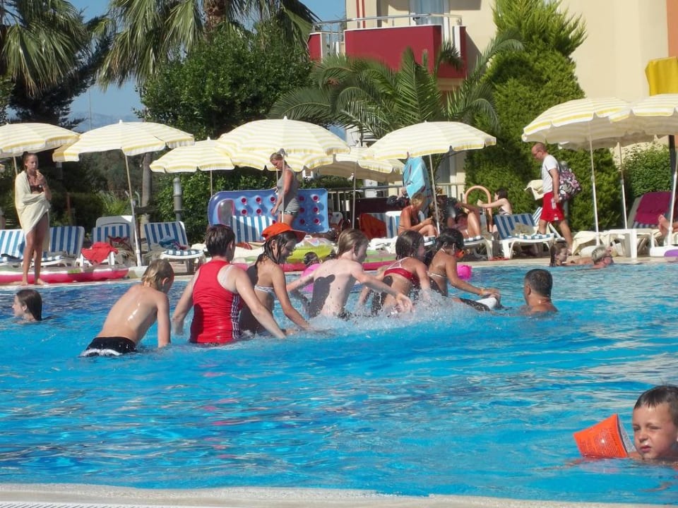 Pool-Animation Hotel Orfeus Park