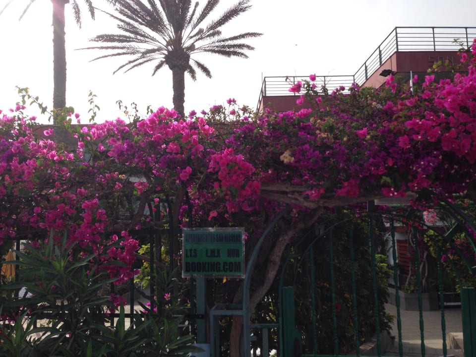 Außenansicht Hotel San Nicolas