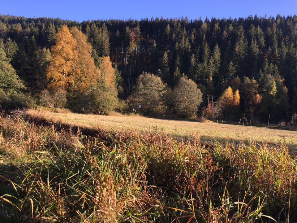 Umgebung Naturcamping Weiherhof