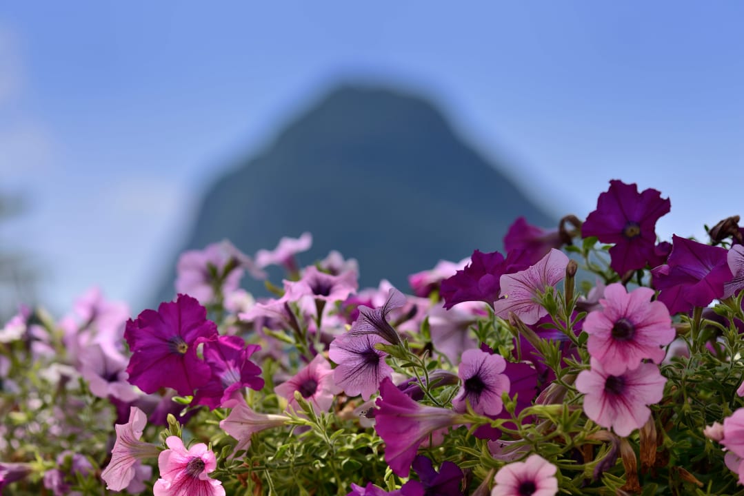 Gartenanlage Grand Hotel Villa Castagnola