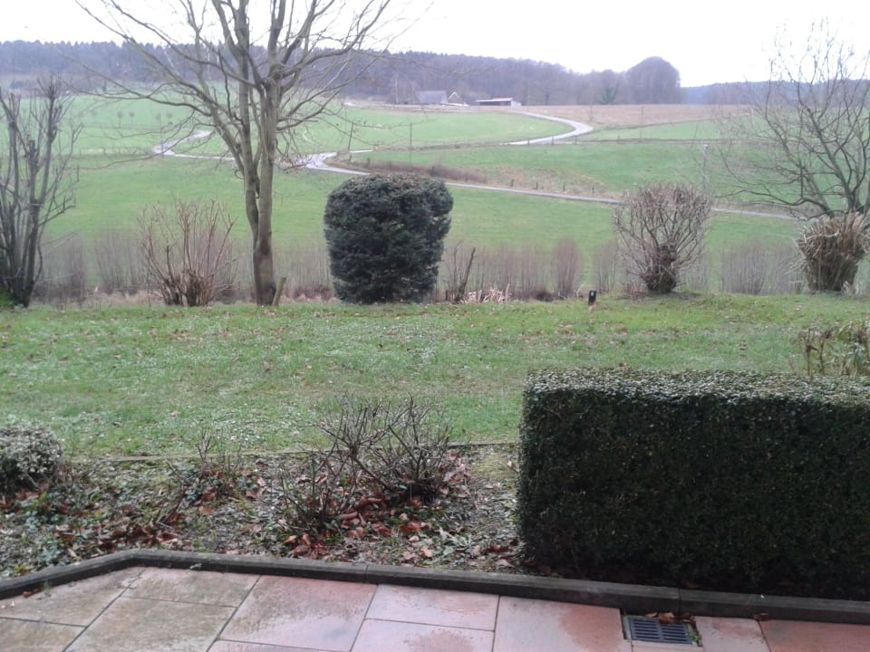 Blick aus dem Zimmer 202 Ringhotel Landhotel Buller