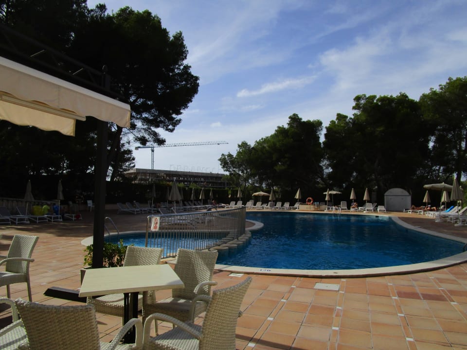 Pool Grupotel Orient