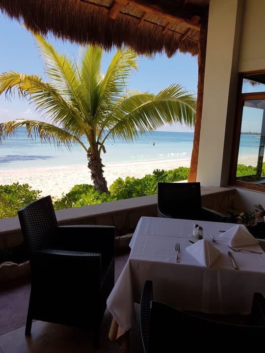 Gastro Akumal Bay Beach & Wellness Resort