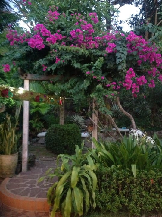 Blick in den Garten Rock Inn Bailan