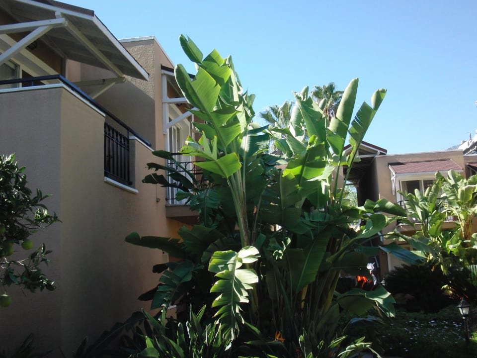 Wohnhaus mit Gartenanlage Pirate's Beach Club