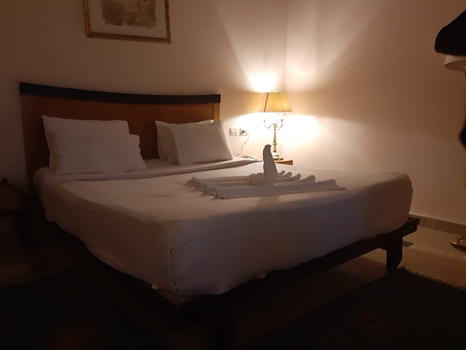 Zimmer Moreno Horizon Spa & Resort