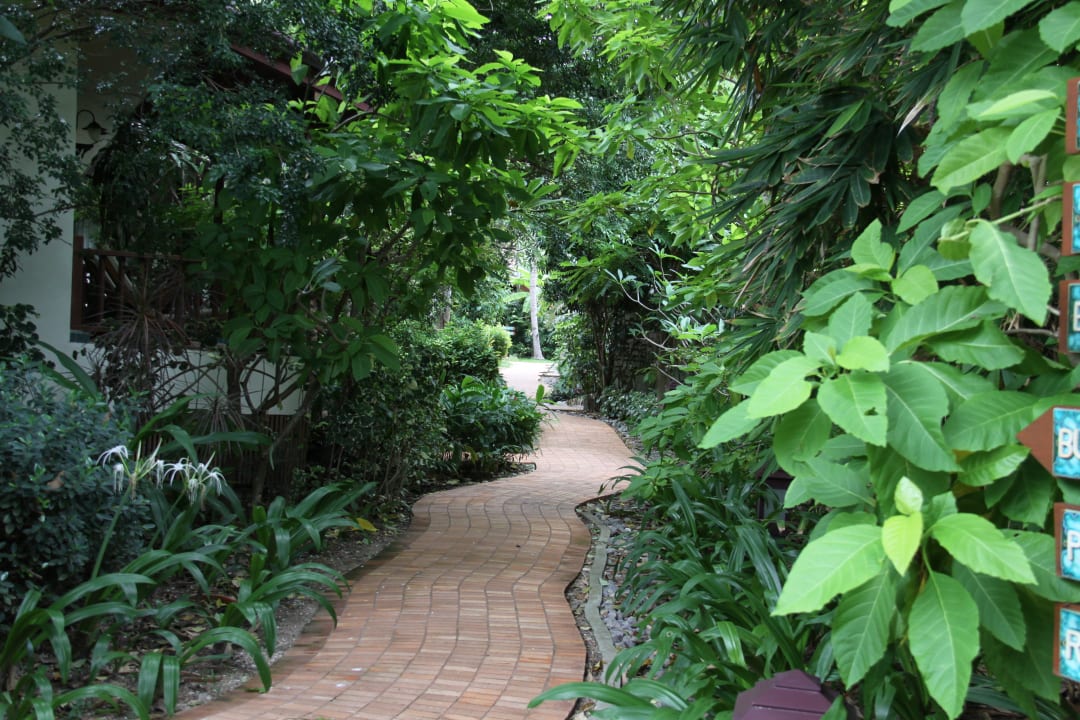 Gartenweg Paradise Beach Resort, Samui