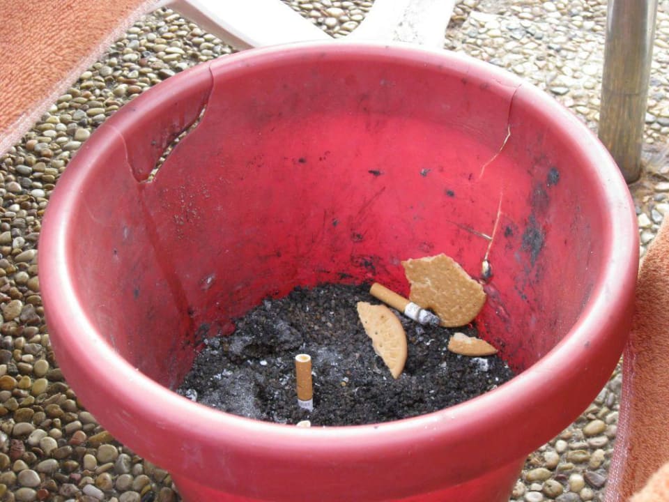 einer der drei Aschenbecher im Poolbereich Princess Taurito