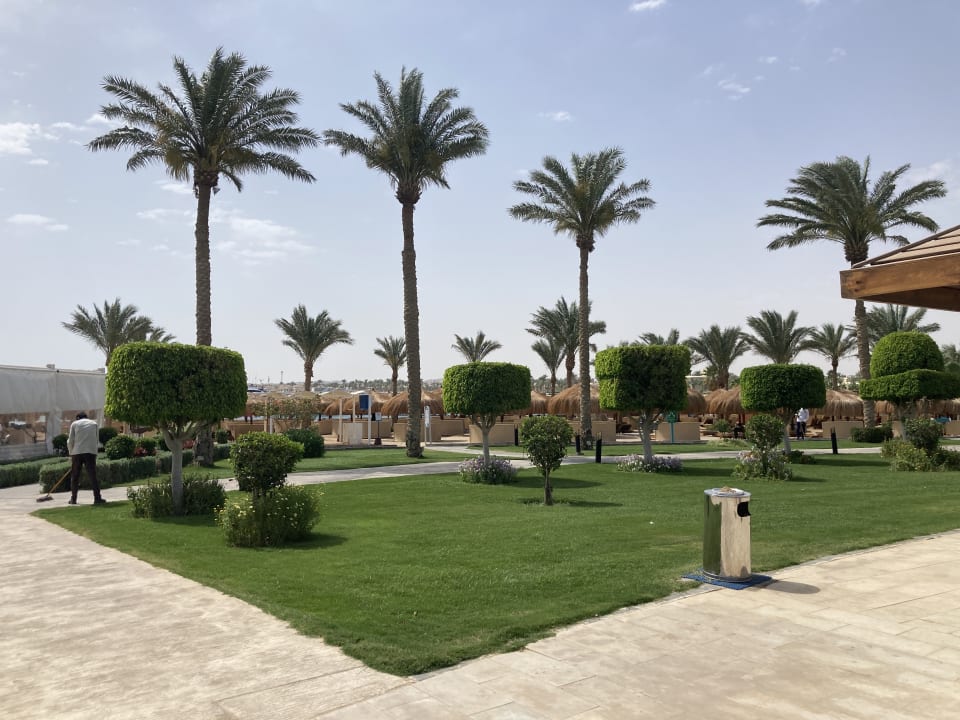 Gartenanlage SUNRISE Royal Makadi Resort