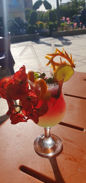 Gastro Seagull Beach Resort