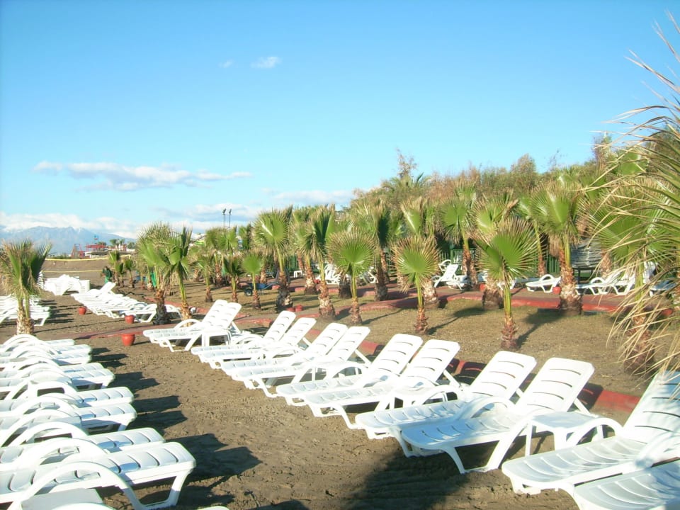 Und das im Januar Hotel Delphin Palace