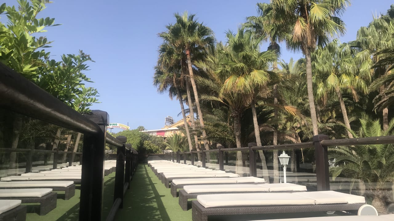 Gartenanlage Hotel Parque Tropical