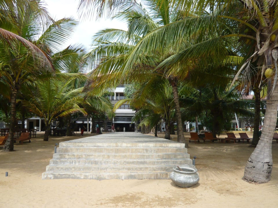 Blick vom Strand in Richtung Hotel Hotel Jetwing Beach