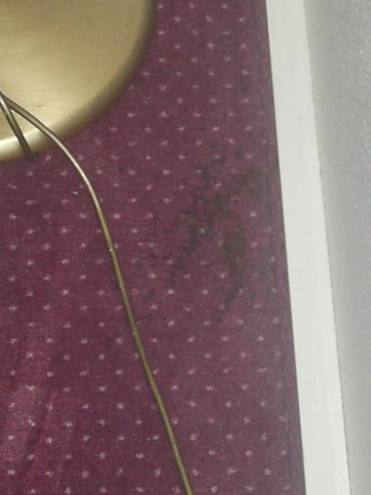 Eingetrockneter Fleck.. AKZENT Hotel Aufkirchen