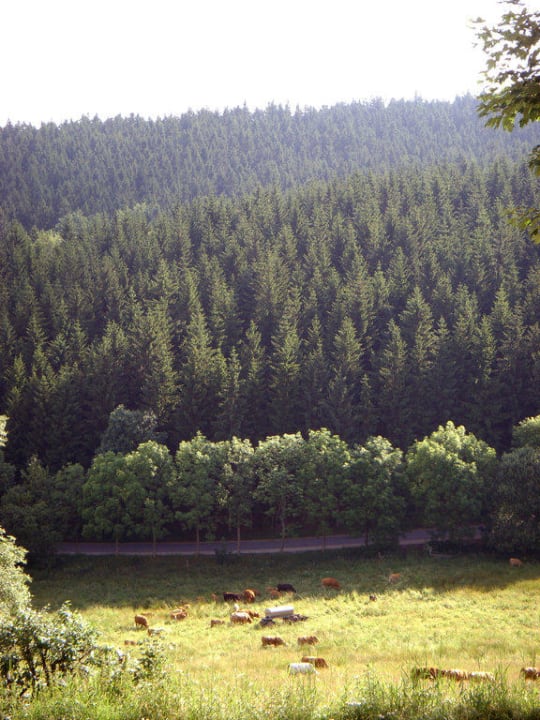 Ausblick Hotelzimmer Berghotel Talblick
